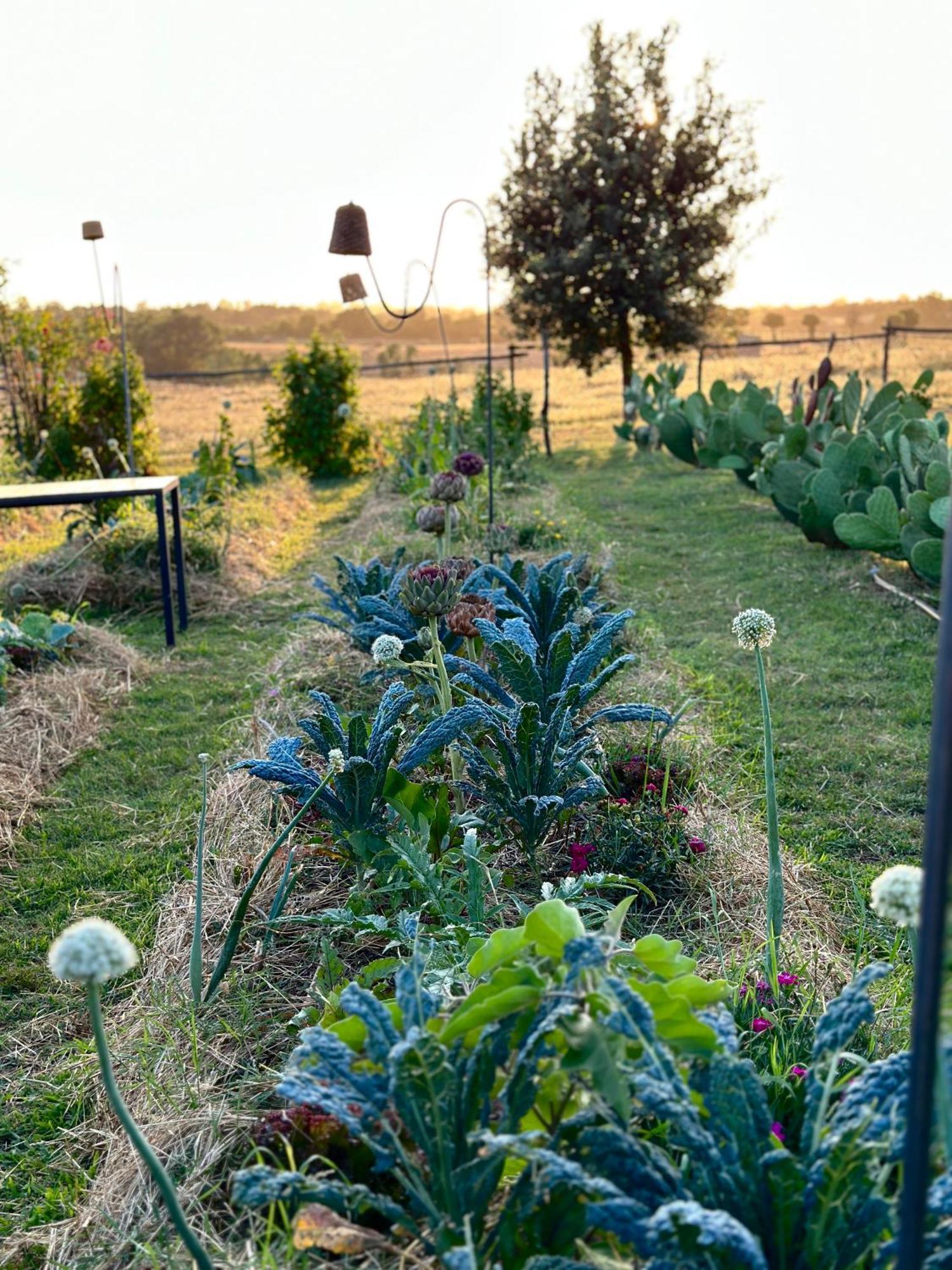 Tenuta Di Paternostro Vetralla Zewnętrze zdjęcie