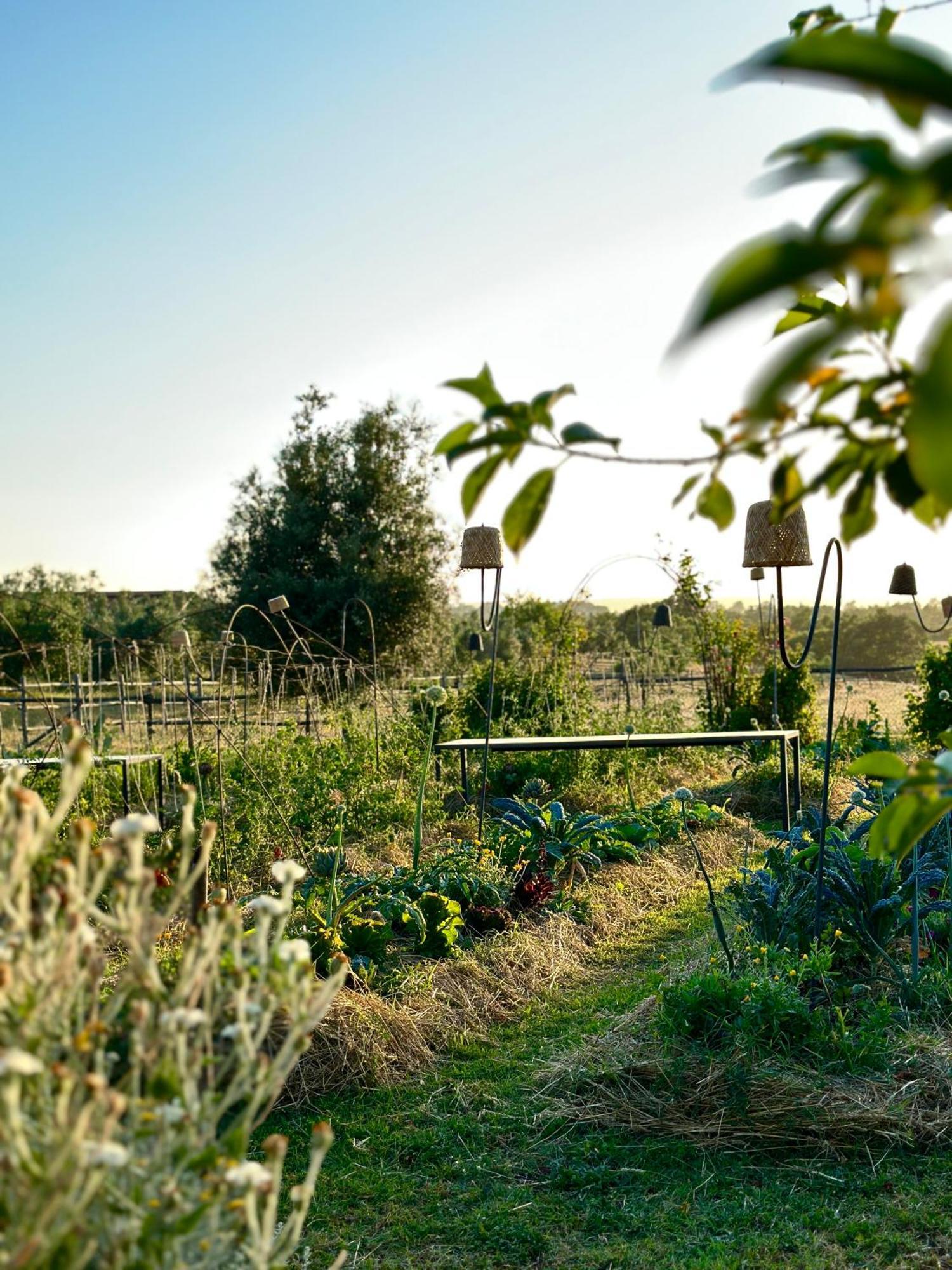 Tenuta Di Paternostro Vetralla Zewnętrze zdjęcie
