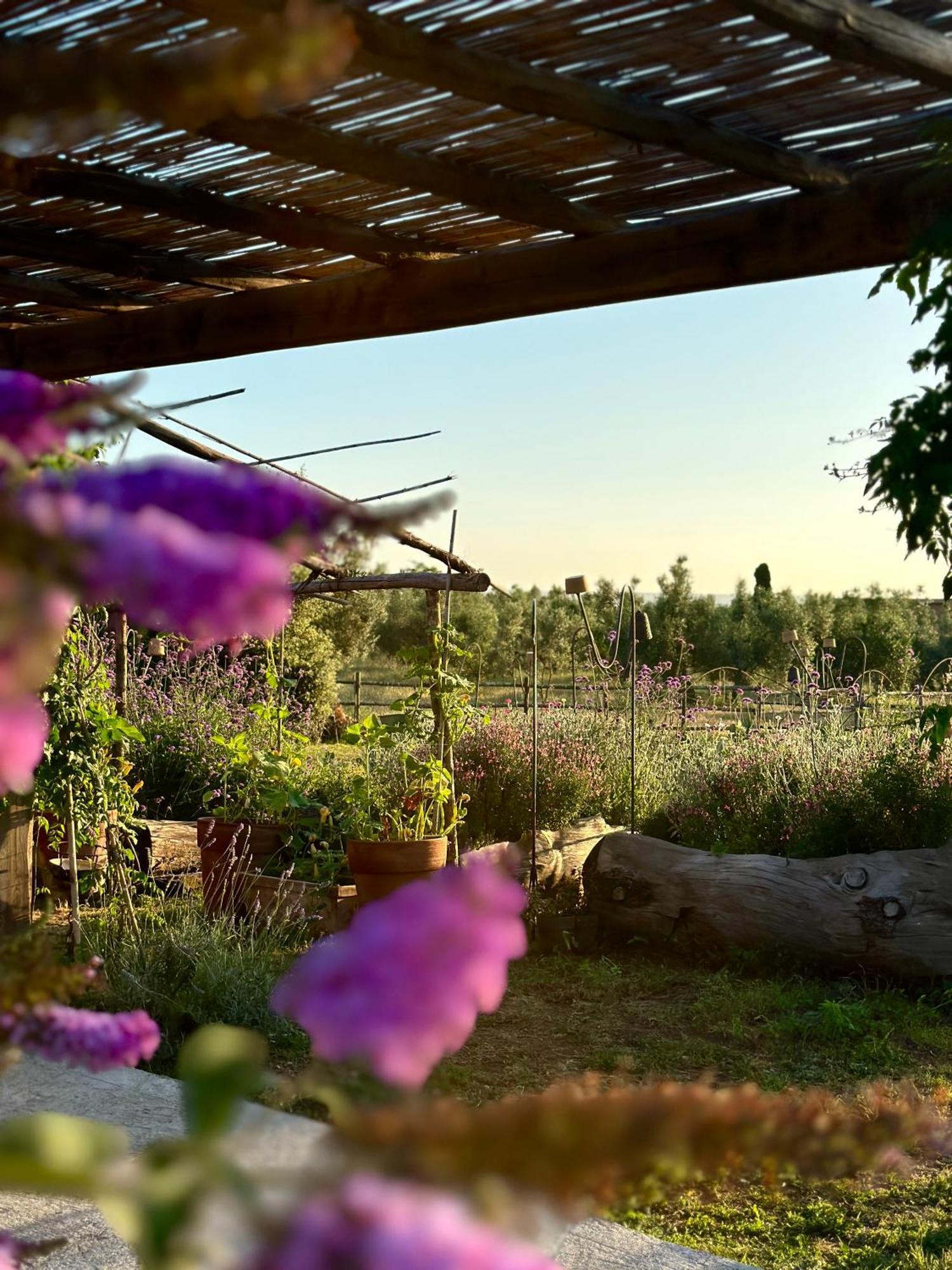 Tenuta Di Paternostro Vetralla Zewnętrze zdjęcie