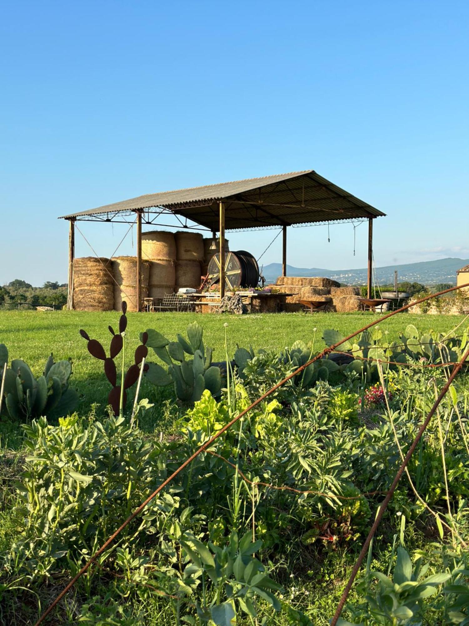 Tenuta Di Paternostro Vetralla Zewnętrze zdjęcie
